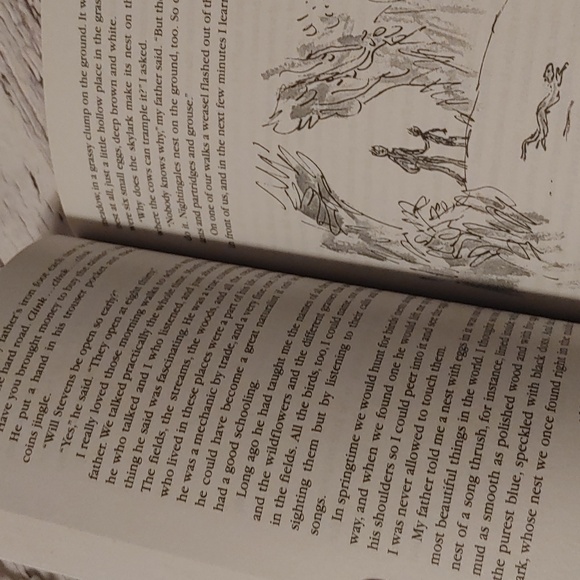 3/$13 Danny The Champion of the World by Roald Dahl children reading book - Picture 3 of 4